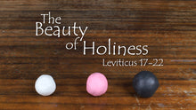 Load image into Gallery viewer, Mini Movie / The Beauty Of Holiness