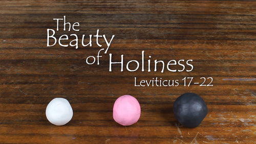 Mini Movie / The Beauty Of Holiness