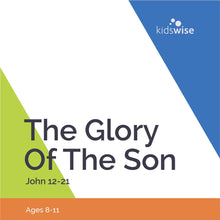 Load image into Gallery viewer, The Glory Of The Son - 13 Lessons