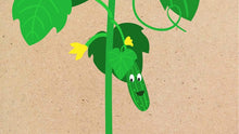 Load image into Gallery viewer, The Little Cucumber