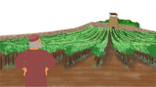 Load image into Gallery viewer, The Parable Of The Tenants