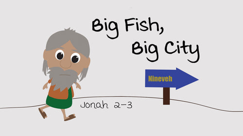 Mini Movie / Big Fish, Big City