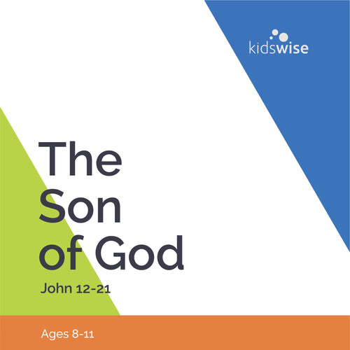 The Son Of God - 13 Lessons