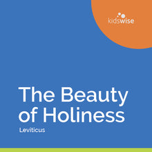Load image into Gallery viewer, The Beauty of Holiness - 7 Lessons