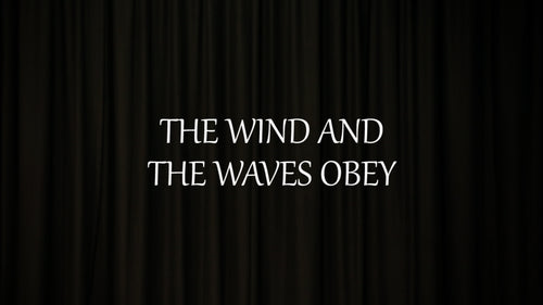 Mini Movie / The Wind And The Waves Obey