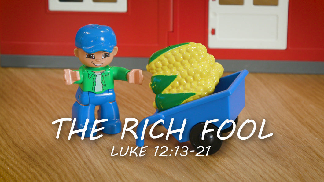 Mini Movie / The Rich Fool